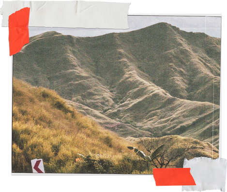 Textured Cutout Sustainability Nature Picture