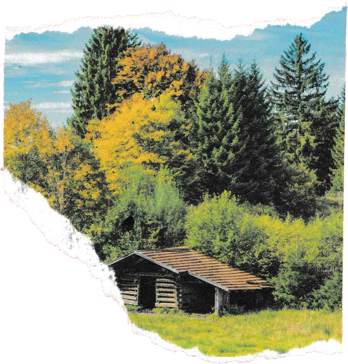 Thanksgiving Collage Element